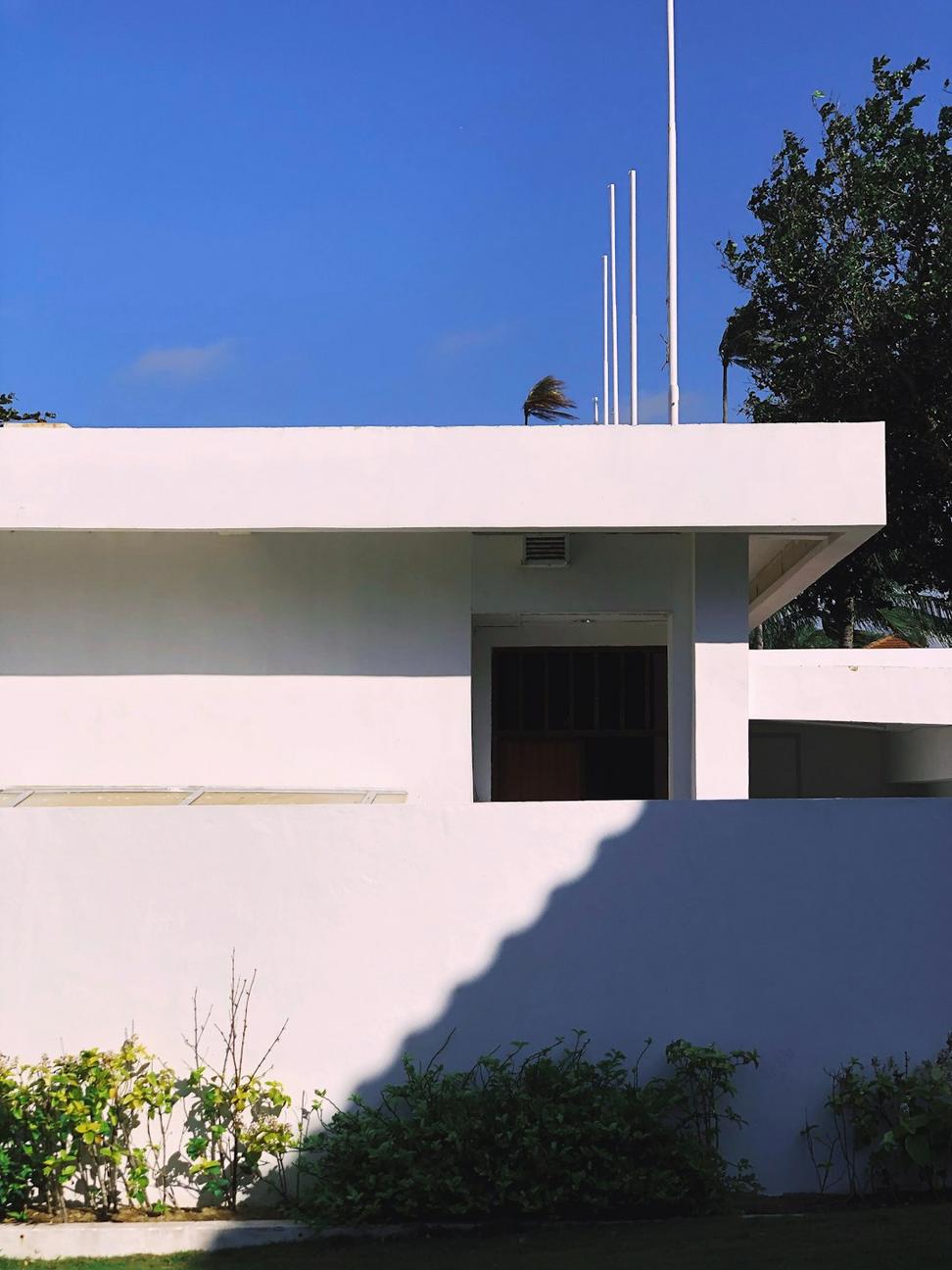 Annex Laneway House