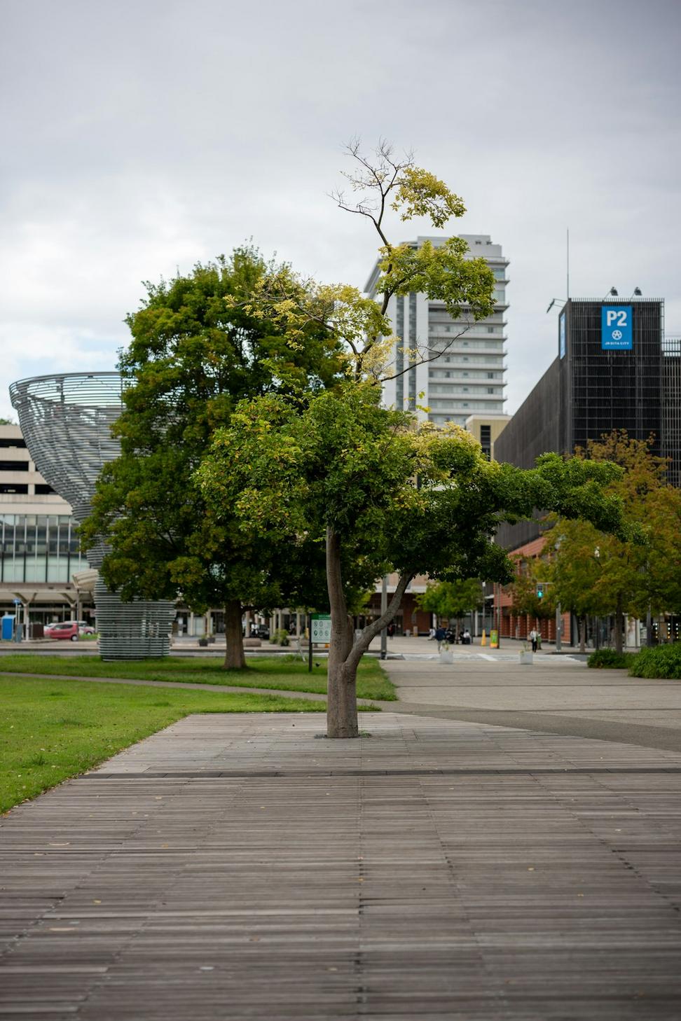 Junction Triangle Commons