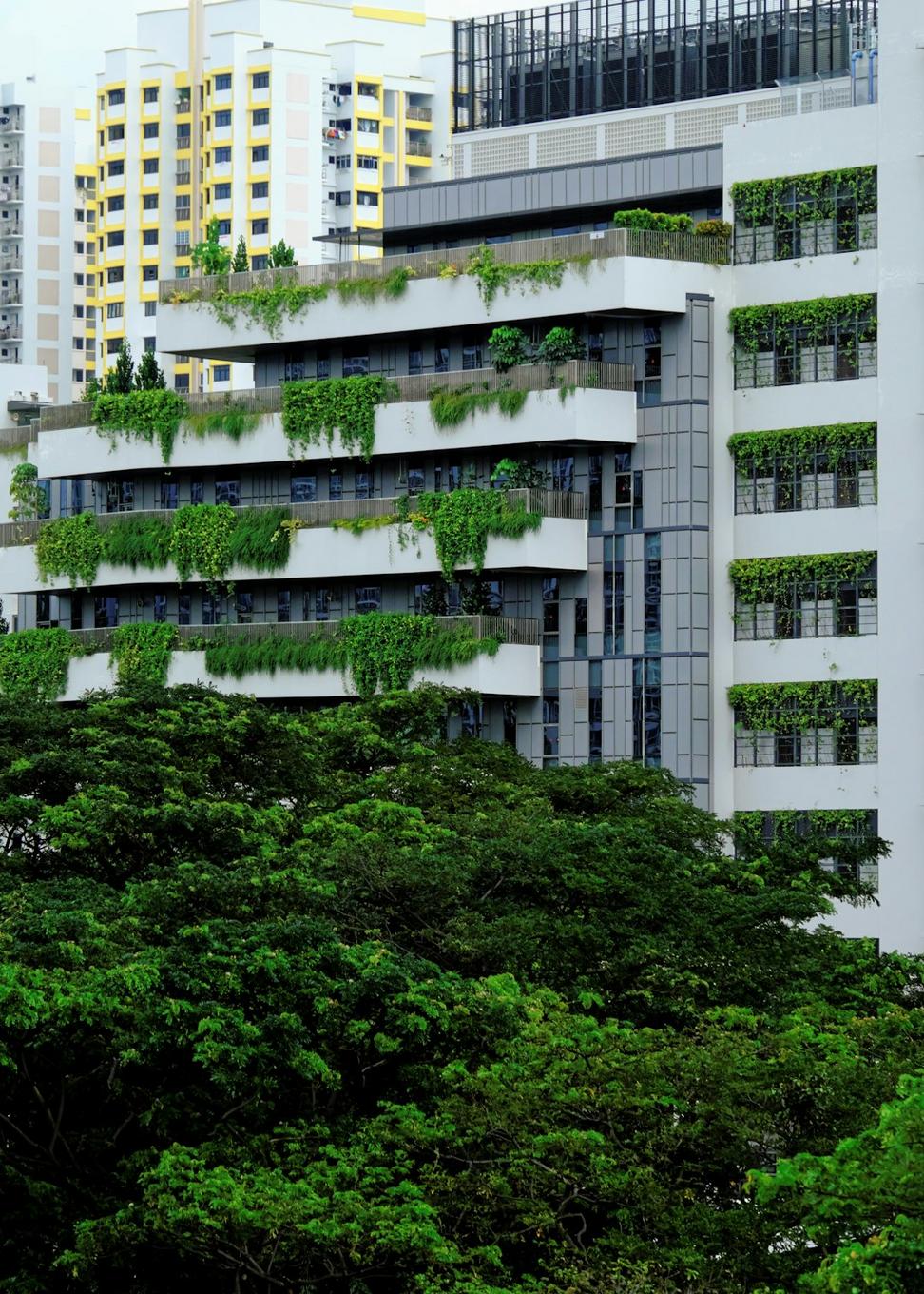 Green roof installation